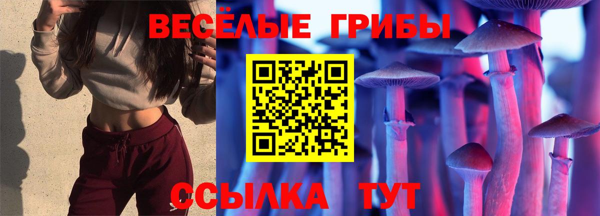 Галлюциногенные грибы Psilocybine cubensis Семилуки