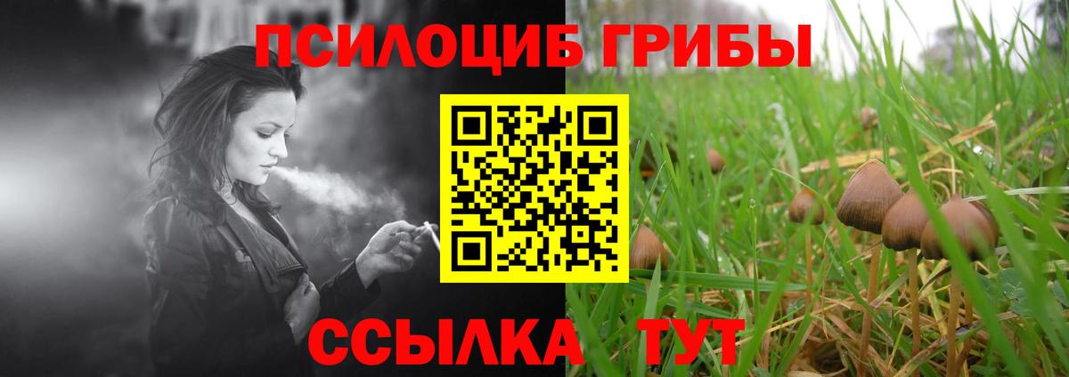 Псилоцибиновые грибы Cubensis  Вход с VPN  Семилуки  Псилоцибиновые грибы Psilocybe 